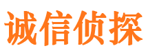 四川市侦探调查公司